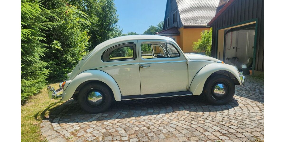 VW Käfer 25.335 km 11.500 &euro; Lohmen 01847