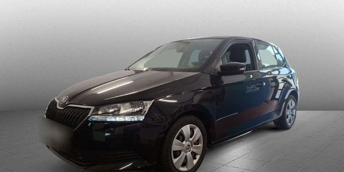 Skoda Fabia 20.076 km 14.490 € Diez 65582