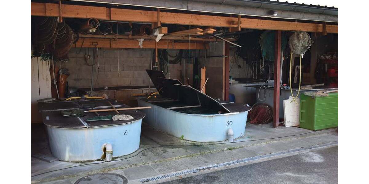 Gewerbeobjekt Seedorf - 1 Zimmer, 1.800.000&euro; | Angebot:19348593