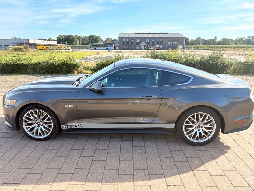 Mustang