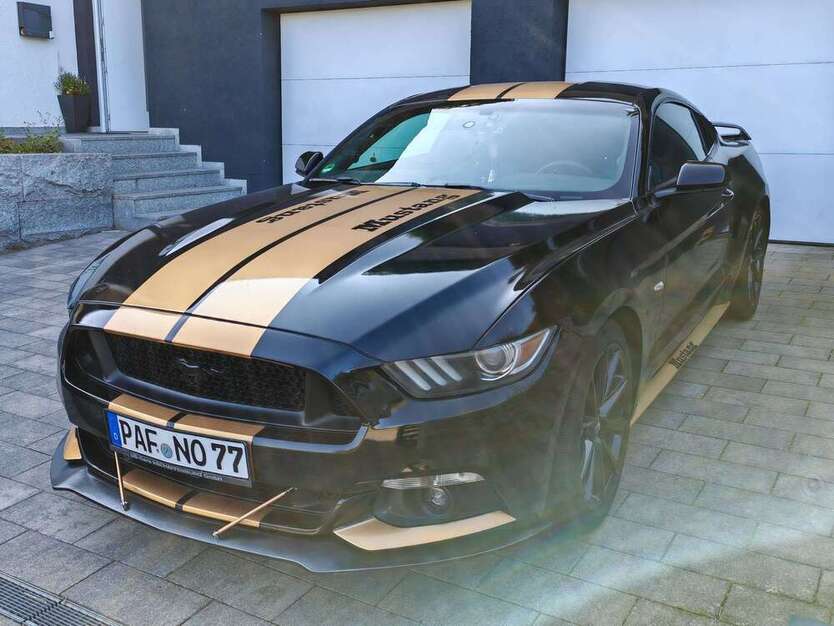 Mustang