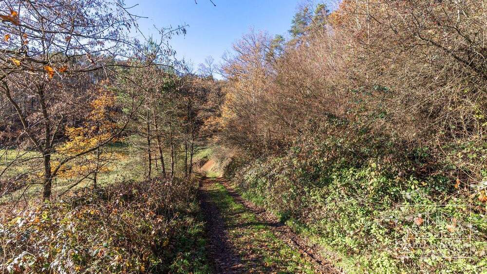 Grundstück Münchweiler am Klingbach - 99.623&euro; | Angebot:25733494