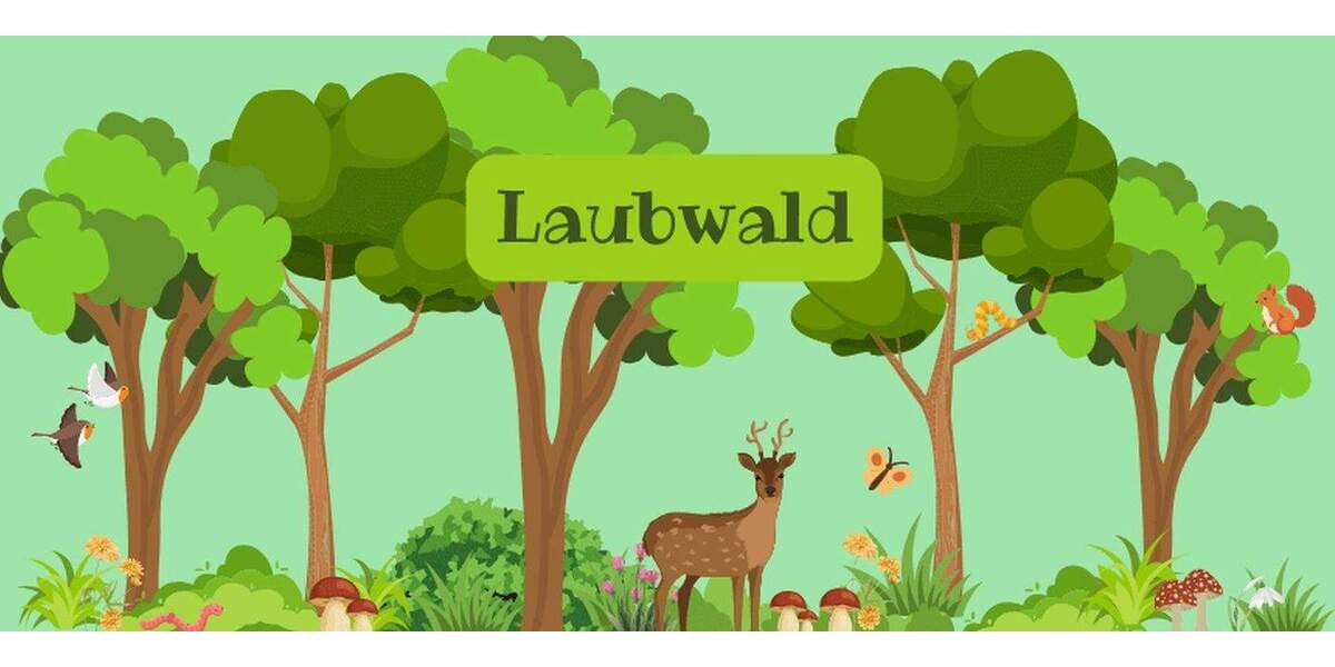 Grundstück Rankendorf Rankendorf - 21.600&euro; | Angebot:25408797