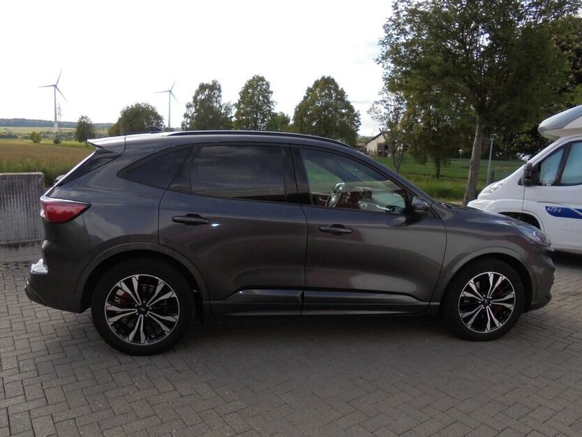 Kuga