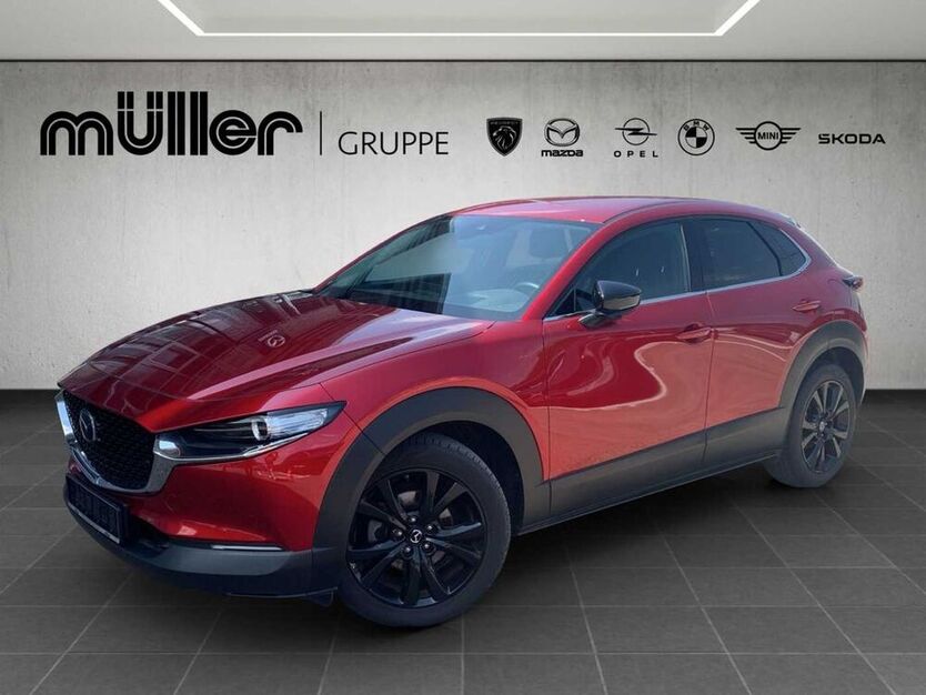 CX-30