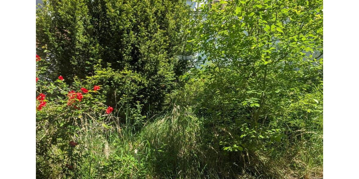 Gewerbeobjekt Düren - 1.200&euro; | Angebot:26679826