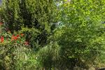 Gewerbeobjekt Düren - 1.200&euro; | Angebot:26679826