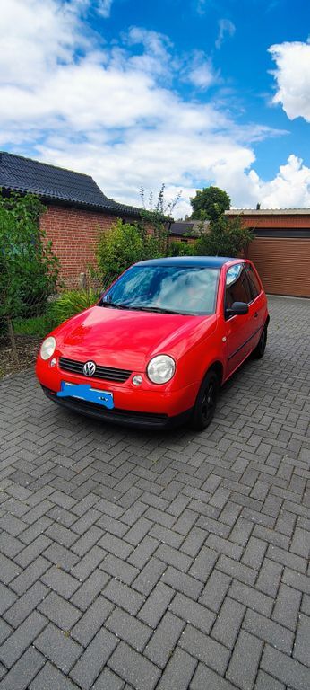 Lupo