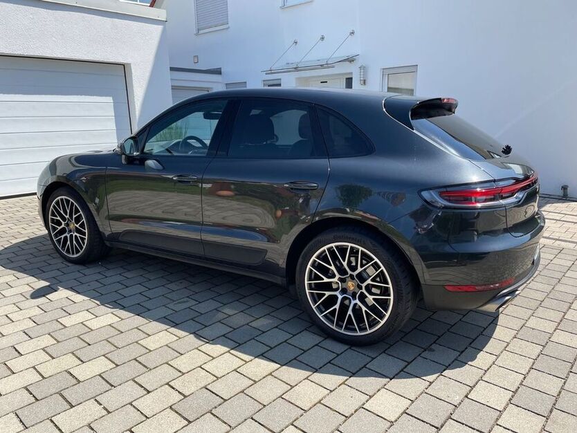 Macan