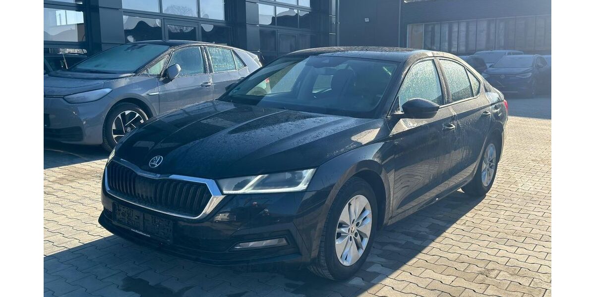 Skoda Octavia 170.887 km 10.990 &euro; Braunschweig 38122