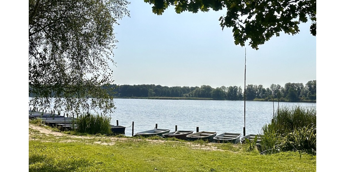 HORN IMMOBILIEN ++ Einfamilienhaus mit großem Grundstück in Ramin an der polnischen Grenze. - Einfamilienhaus Ramin | Angebot:25179513