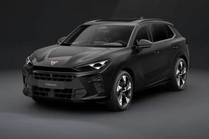 Cupra Terramar 12.000 km 42.990 &euro; Kirn 55606