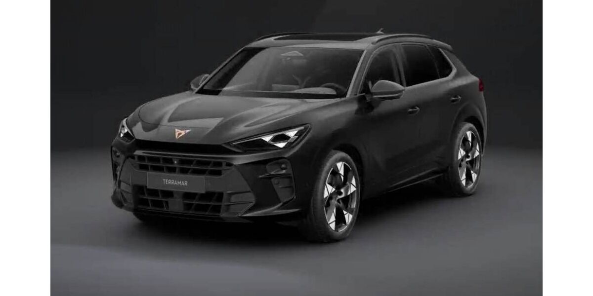 Cupra Terramar 12.000 km 42.990 &euro; Kirn 55606