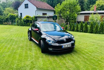 VW Beetle 256.064 km 8.499 &euro; Heidesee 15754