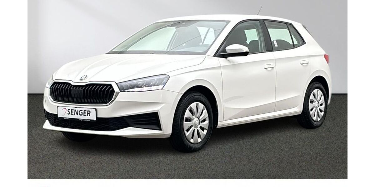 Skoda Fabia 25.543 km 18.880 &euro; Emsdetten 48282