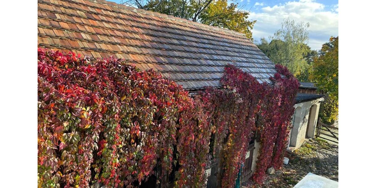 Einfamilienhaus Calau - 4 Zimmer, 110 m&sup2;, 990&euro; | Angebot:27625636