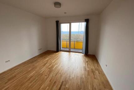 Apartment Appartement Wohnung EinZimmerwohnung