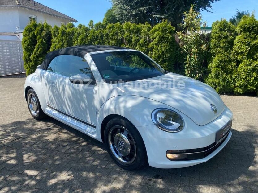 Beetle