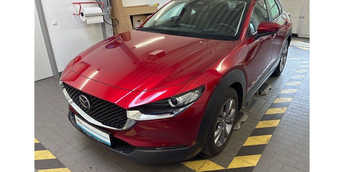 Mazda CX-30 41.849 km 23.490 &euro; Marschacht 21436