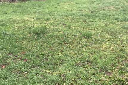 Grundstück zu verkaufen in Germersheim 370.200 € 617 m² zimmer