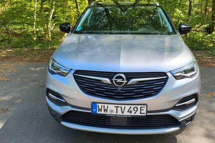 Opel Grandland (X) 115.000 km 17.500 &euro; Mörlen 57583