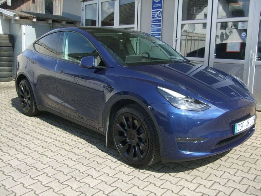 Model Y