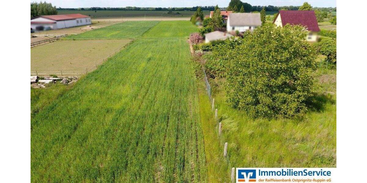 Grundstück Wusterhausen Segeletz Bückwitz - 68.250&euro; | Angebot:25769828