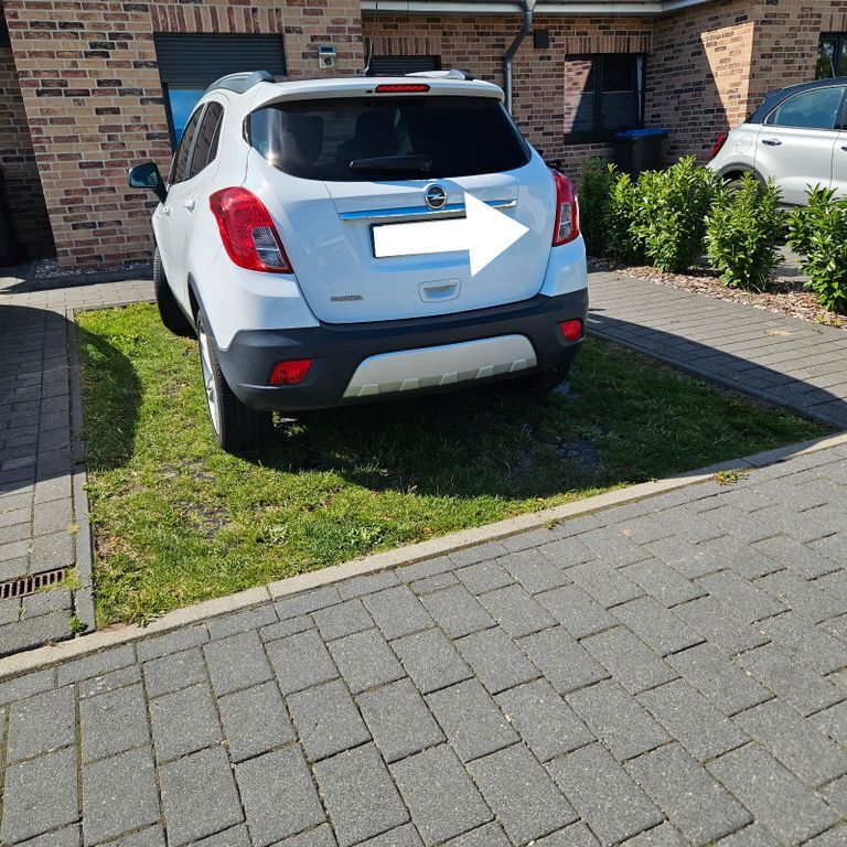 Mokka