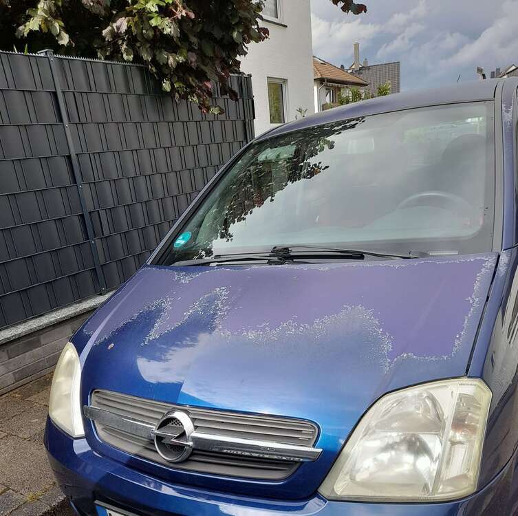 Meriva