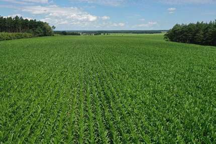 Grundstück Wallstawe - 550.000&euro; | Angebot:20248339