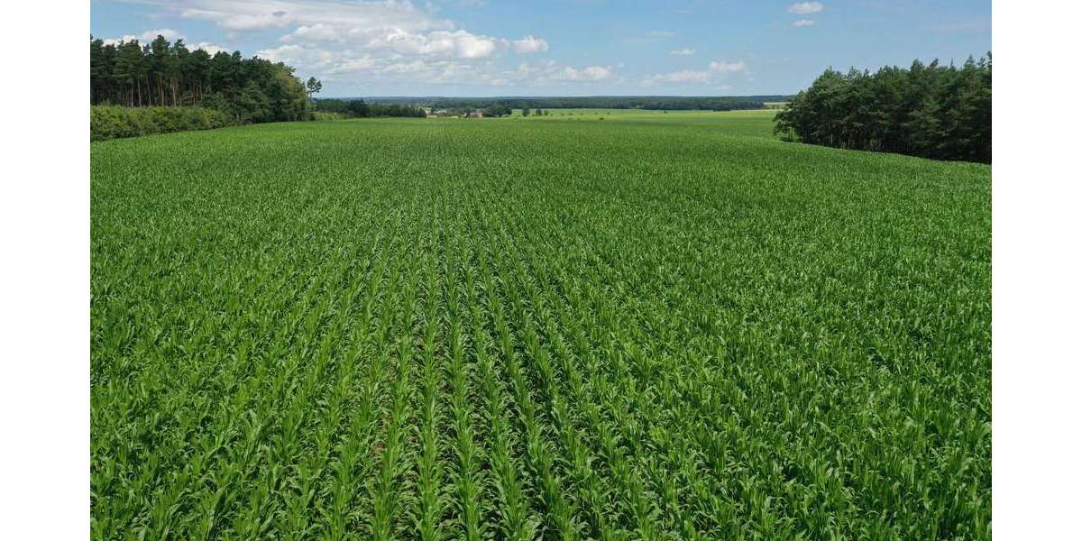 Grundstück Wallstawe - 550.000&euro; | Angebot:20248339