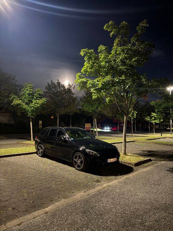C 250
