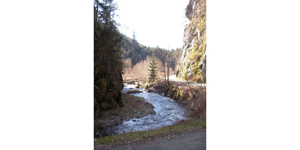 Ferienimmobilie Presseck Braunersreuth - 50&euro; | Angebot:13622116