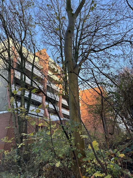 Wohnung zum Kaufen in Kiel 160.000 € 59 m²