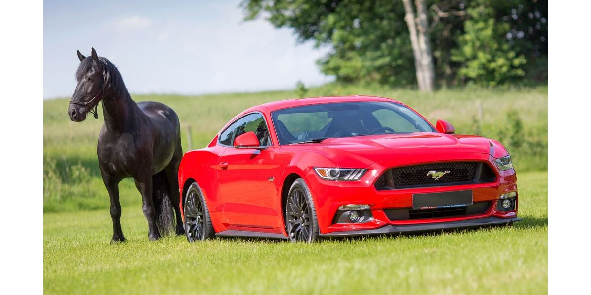 Ford Mustang 75.157 km 28.899 € Brand-Erbisdorf 09618