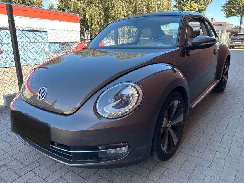 Beetle
