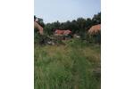 Einfamilienhaus Rehburg-Loccum Loccum - 3 Zimmer, 170.000&euro; | Angebot:22072752