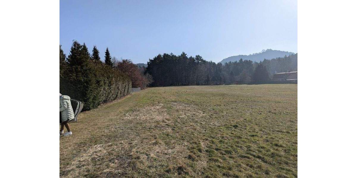 Grundstück Gohrisch Kurort Gohrisch - 180.000&euro; | Angebot:25705513