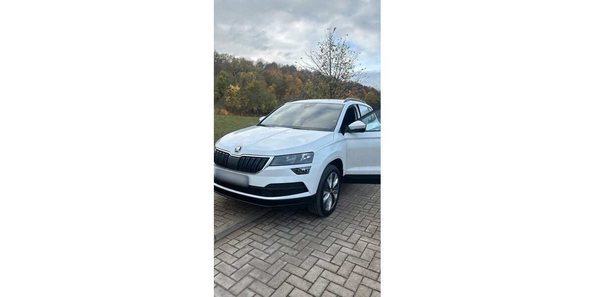 Skoda Karoq 117.000 km 20.800 &euro; Eggebek 24852