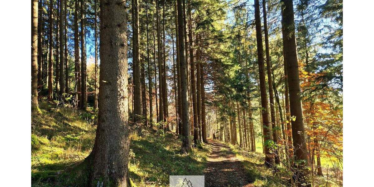 Grundstück Eggenthal Völken - 84.900&euro; | Angebot:25689866