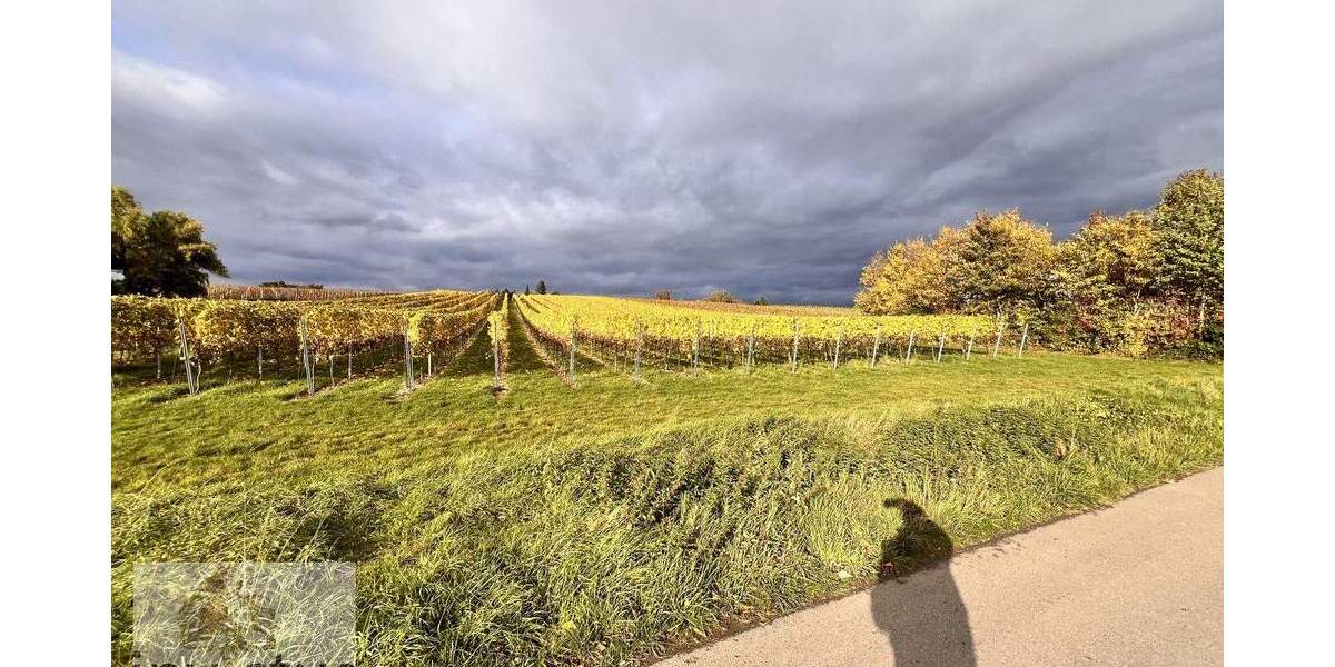 Grundstück Leingarten / Großgartach Großgartach - 19.990&euro; | Angebot:24157161