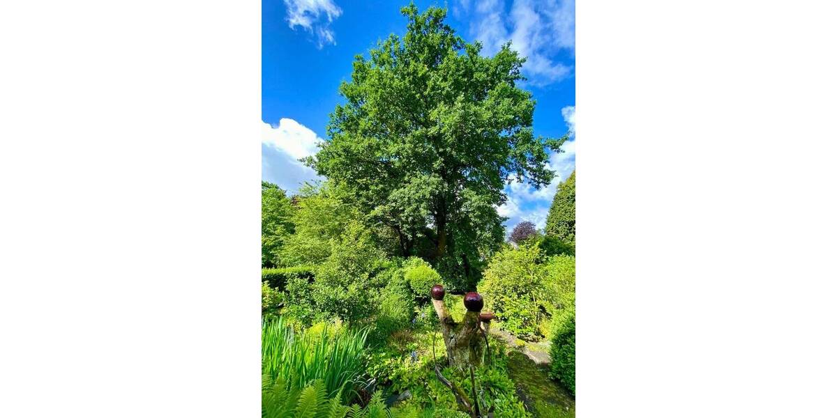 Mehrfamilienhaus, Wohnhaus Fürstenau - 4 Zimmer, 153 m&sup2;, 280.000&euro; | Angebot:25728031