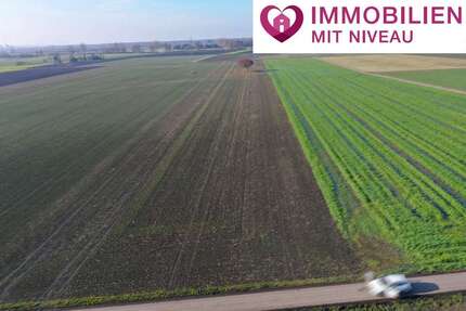 Grundstück in Lauingen 136.000 € 11349 m² zimmer