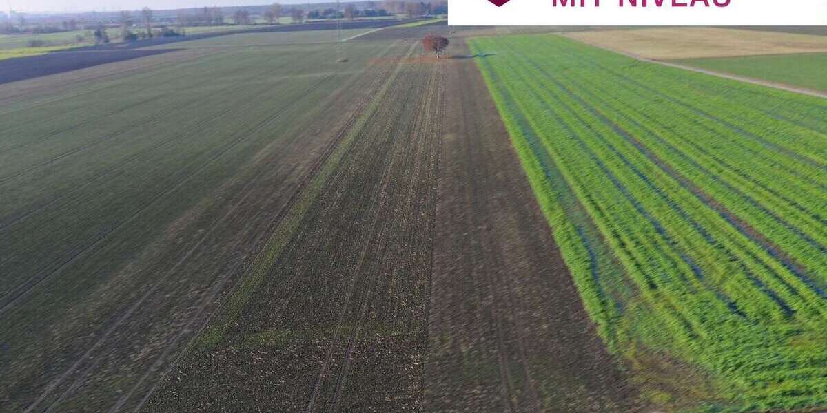 Grundstück Lauingen - 136.000&euro; | Angebot:23773545