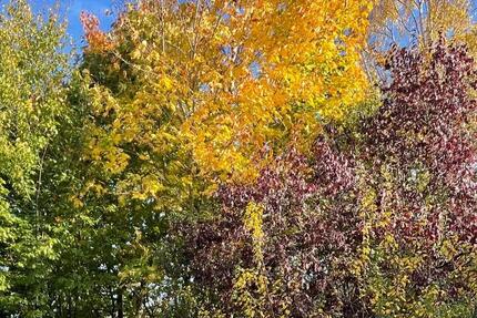 Eigentumswohnung Wolframs-Eschenbach 3 zimmer