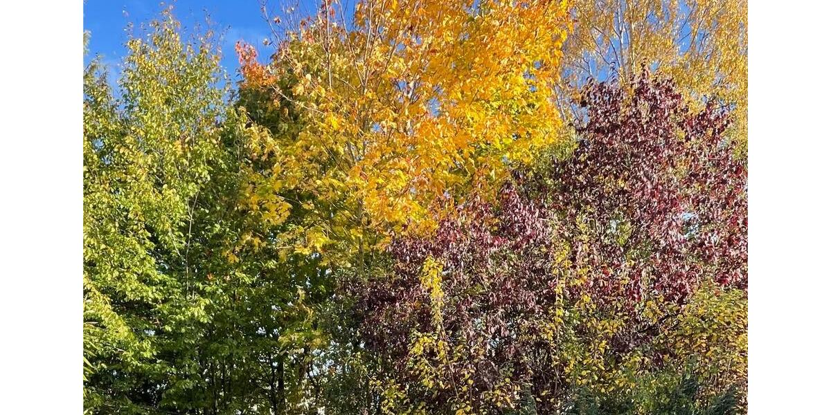 Eigentumswohnung Wolframs-Eschenbach 3 zimmer