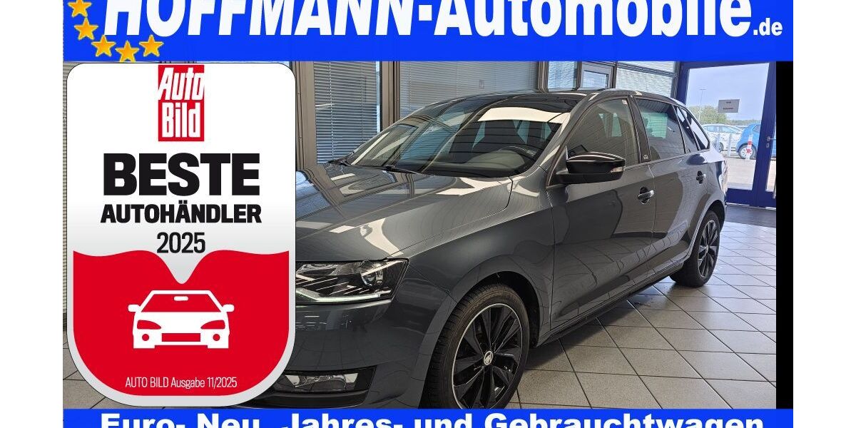 Skoda Rapid 123.403 km 9.900 &euro; Wolfsburg-Heiligendorf 38444