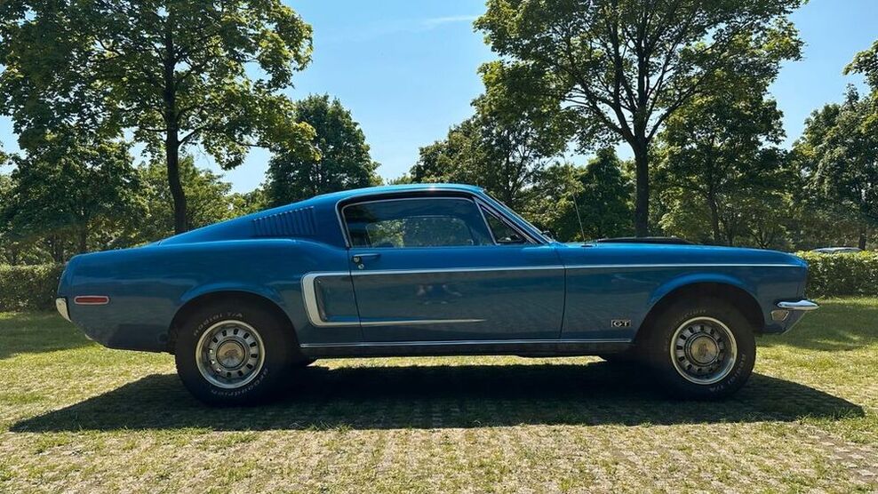 Mustang