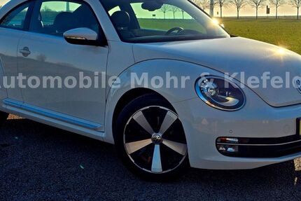 VW Beetle 125.000 km 9.999 &euro; Halle-Neustadt 06124