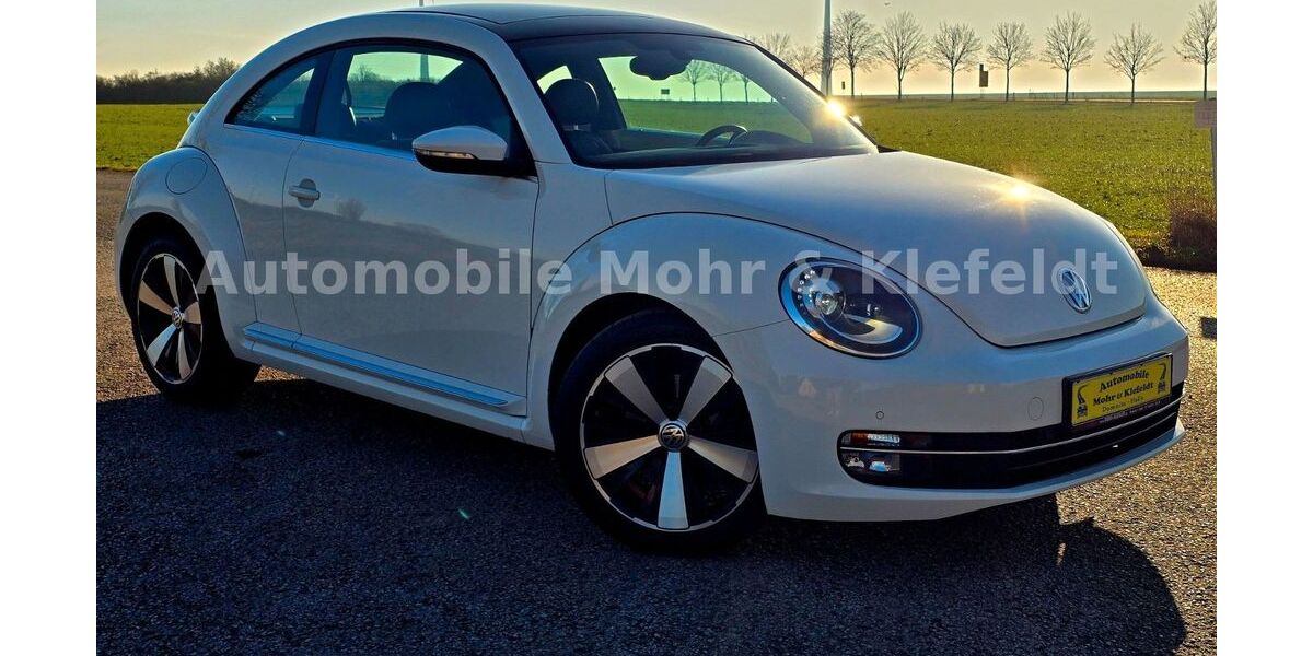 VW Beetle 125.000 km 9.999 &euro; Halle-Neustadt 06124